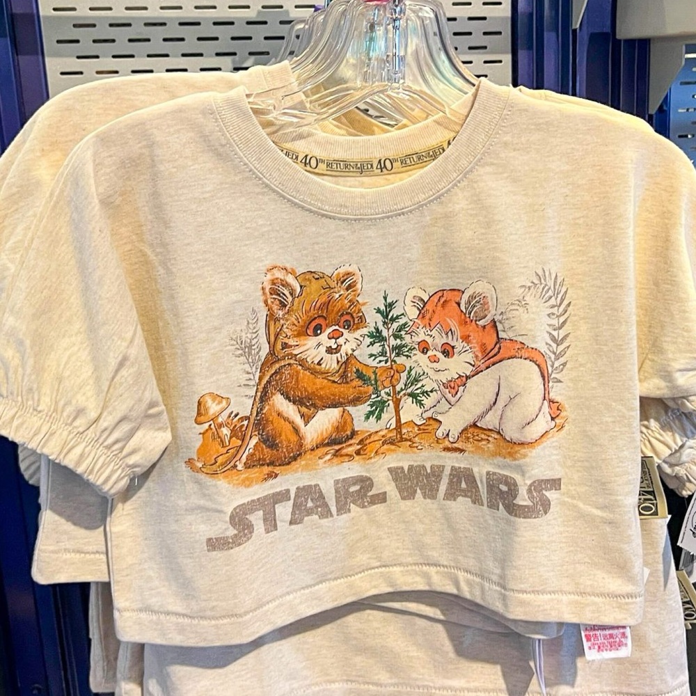 Disney Star Wars Ewok Graphic Tee in Cream and Brown